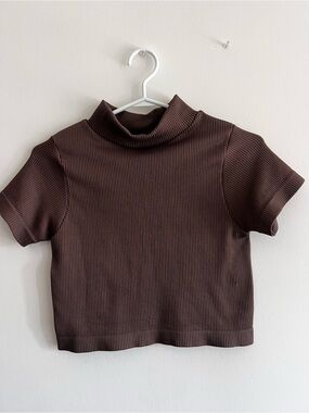 Cotton Candy Brown Ribbed Mock Neck Crop Top